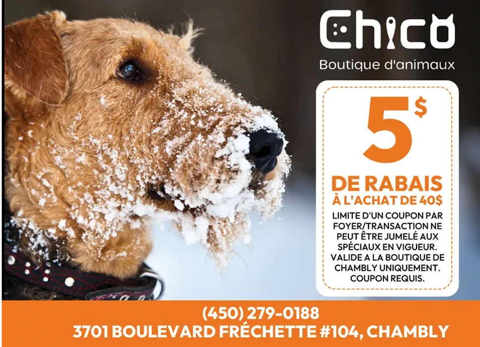 Chico Chambly